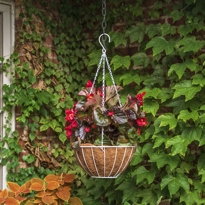 Charlton Home® Tingsley Decorative Powder Coated Metal Hanging Planter & Reviews Wayfair